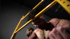 Fort Troff Diamond X Fuck Machine Thumb