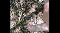 Jacking off in woods Thumb